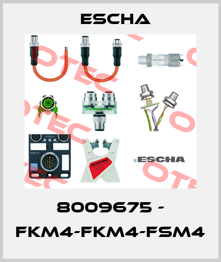 8009675 - FKM4-FKM4-FSM4 Escha