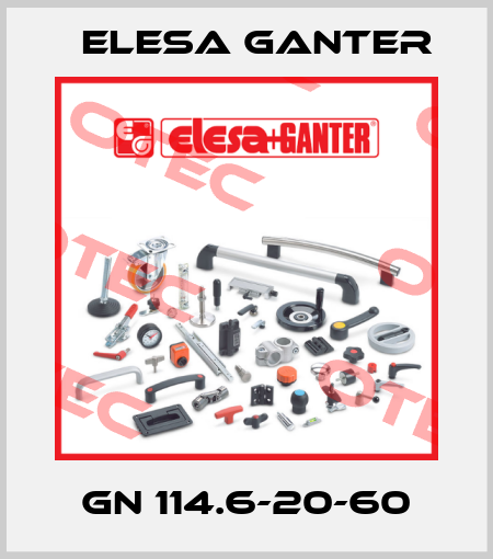 GN 114.6-20-60 Elesa Ganter