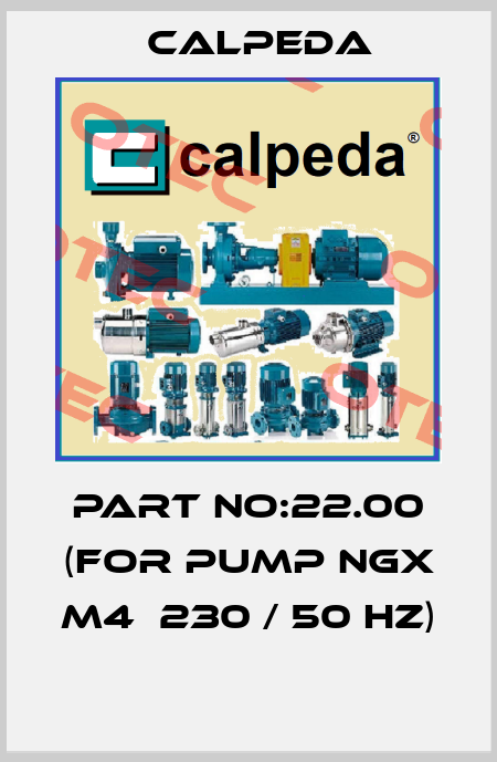 PART NO:22.00 (FOR PUMP NGX M4  230 / 50 HZ)  Calpeda