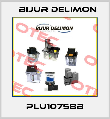 PLU10758B Bijur Delimon