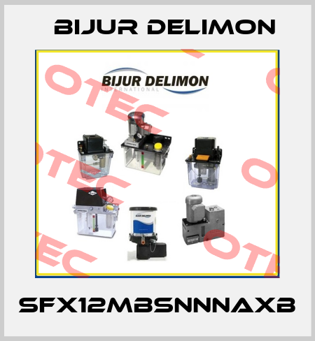 SFX12MBSNNNAXB Bijur Delimon