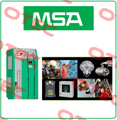 10050713 Msa