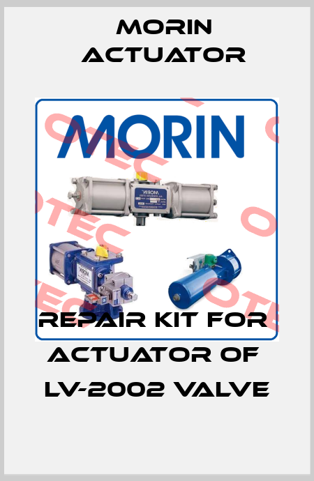 REPAIR KIT FOR  ACTUATOR of  LV-2002 VALVE Morin Actuator