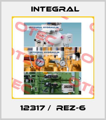 12317 /  REZ-6 Integral