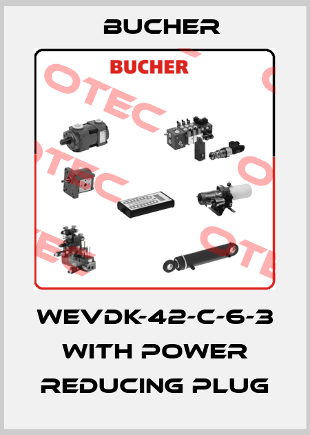 WEVDK-42-C-6-3 with power reducing plug Bucher