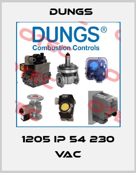 1205 IP 54 230 VAC Dungs