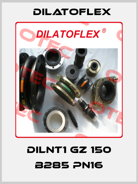 DILNT1 GZ 150 B285 PN16 DILATOFLEX
