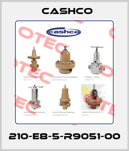 210-E8-5-R9051-00 Cashco