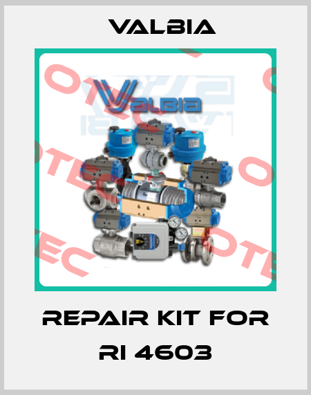repair kit for RI 4603 Valbia