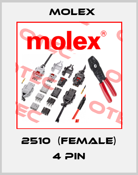 2510  (female) 4 pin Molex