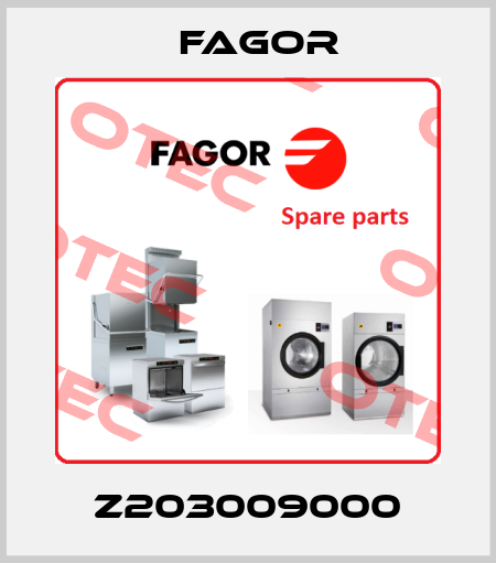 Z203009000 Fagor