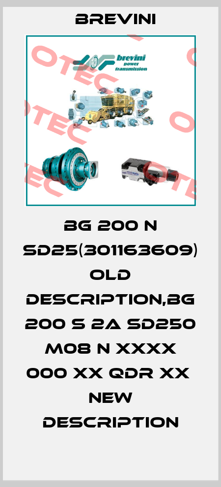 BG 200 N SD25(301163609) old description,BG 200 S 2A SD250 M08 N XXXX 000 XX QDR XX  new description Brevini