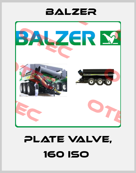 PLATE VALVE, 160 ISO  Balzer