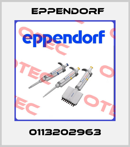 0113202963 Eppendorf