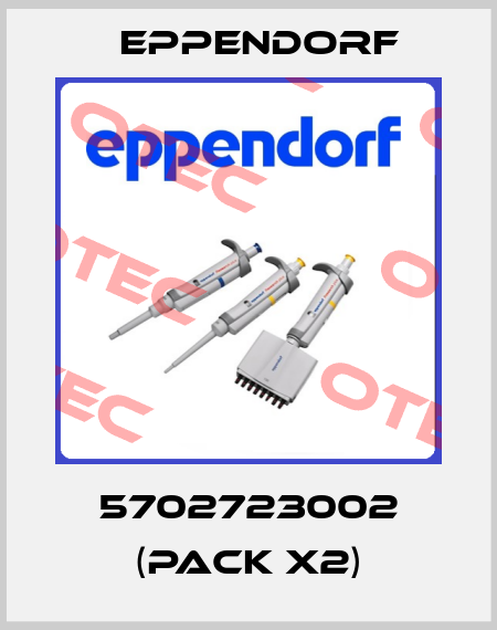 5702723002 (pack x2) Eppendorf