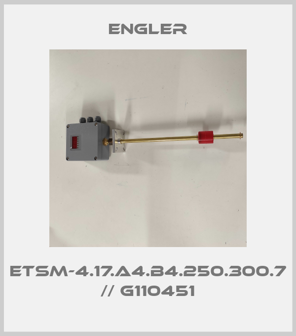 ETSM-4.17.A4.B4.250.300.7 // G110451-big