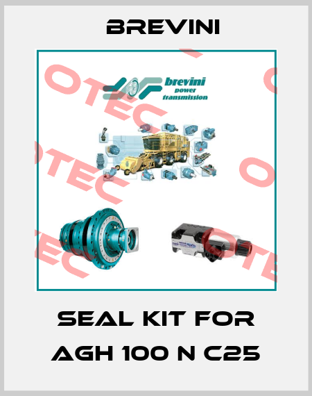 Seal kit for AGH 100 N C25 Brevini