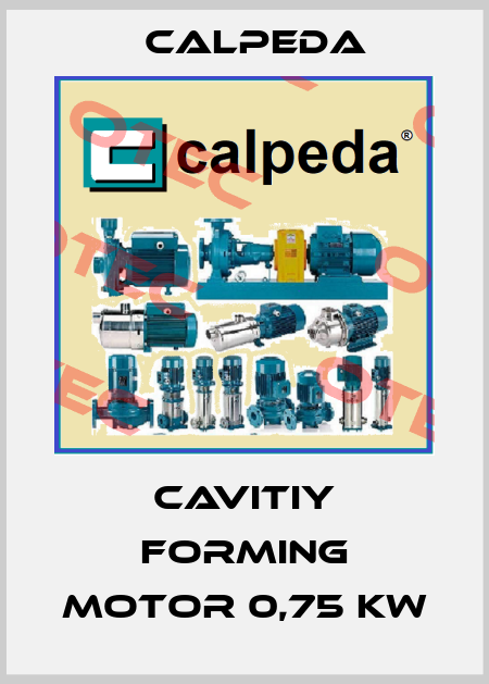 cavitiy forming motor 0,75 kw Calpeda