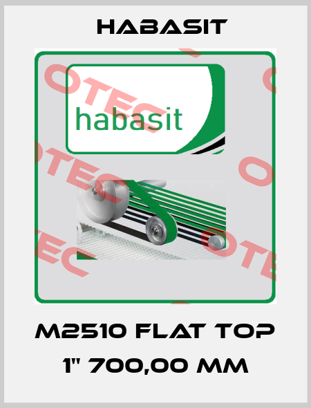 M2510 Flat Top 1" 700,00 mm Habasit