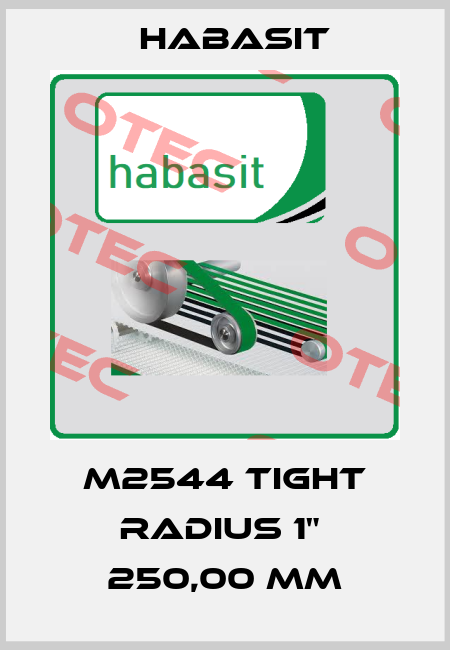 M2544 Tight Radius 1"  250,00 mm Habasit