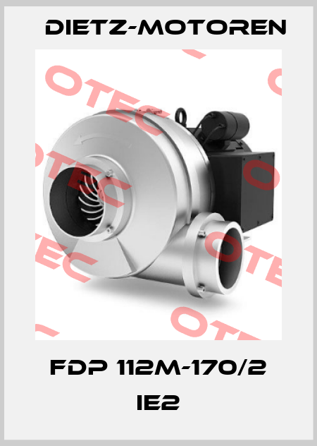 FDP 112M-170/2 IE2 Dietz-Motoren