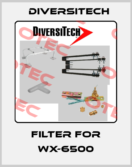 Filter for WX-6500 Diversitech