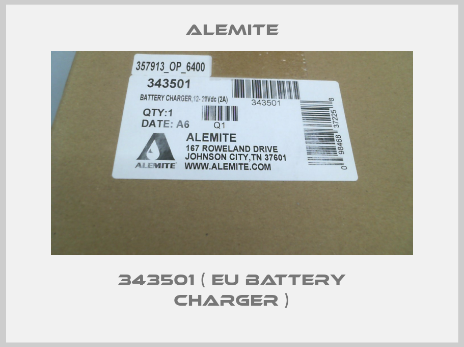 343501 ( EU Battery charger )-big