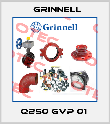 Q250 GVP 01  Grinnell