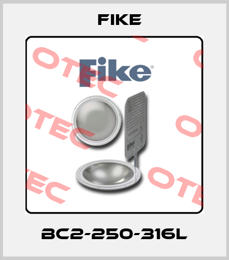BC2-250-316L FIKE