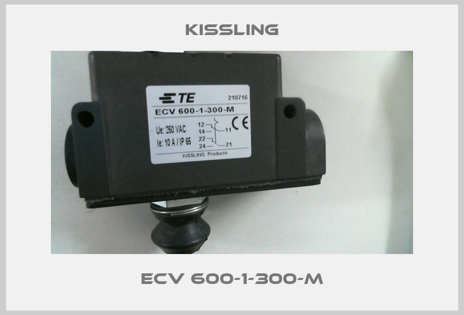 ECV 600-1-300-M-big