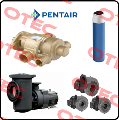 150360 Pentek (Pentair)