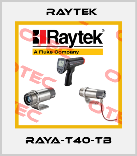 RAYA-T40-TB Raytek