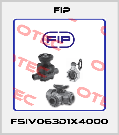 FSIV063D1X4000 Fip