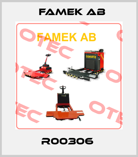 R00306  Famek Ab