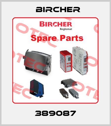 389087 Bircher
