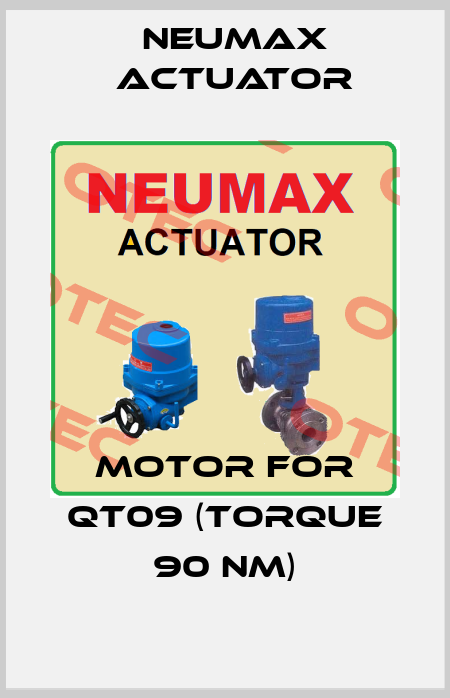 motor for QT09 (Torque 90 Nm) Neumax Actuator
