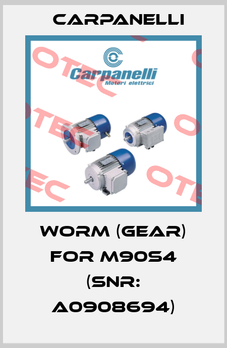 worm (gear) for M90S4 (Snr: A0908694) Carpanelli