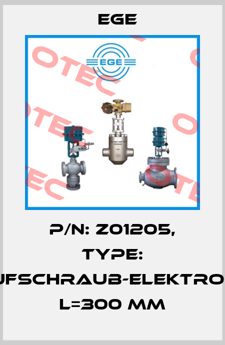 p/n: Z01205, Type: Aufschraub-Elektrode L=300 mm Ege