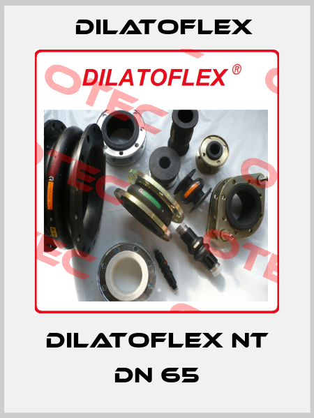 Dilatoflex NT DN 65 DILATOFLEX