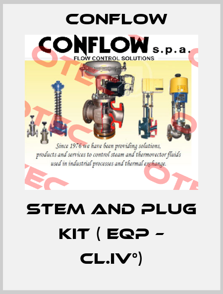 STEM AND PLUG KIT ( EQP – CL.IV°) CONFLOW