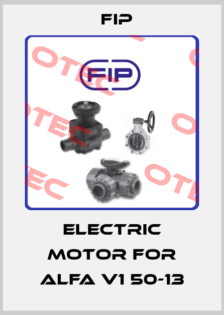 electric motor for ALFA V1 50-13 Fip