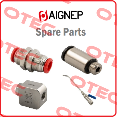 G1/4 - 3025-1/4R Aignep