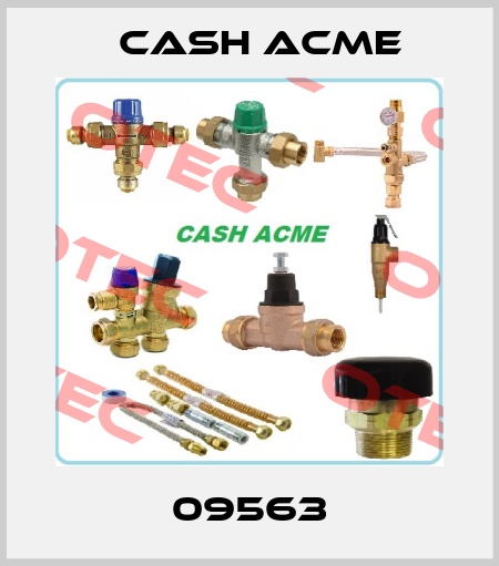 09563 Cash Acme