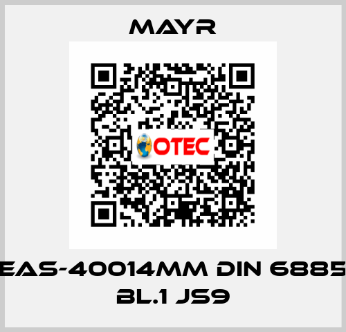 EAS-40014MM DIN 6885 BL.1 JS9 Mayr