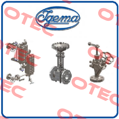 20-00112 Igema