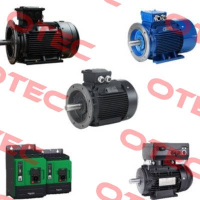Y2E2 250M1 - 4 pole Hoyer Motors