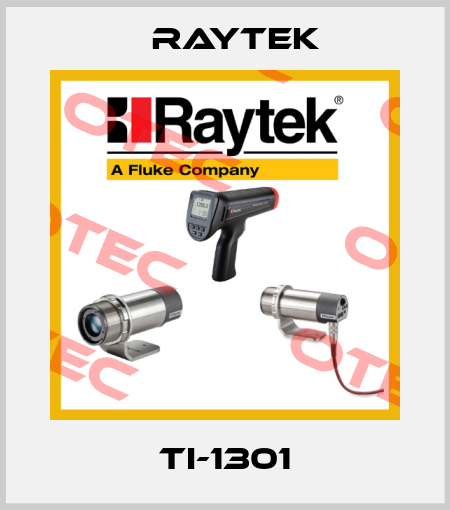 TI-1301 Raytek