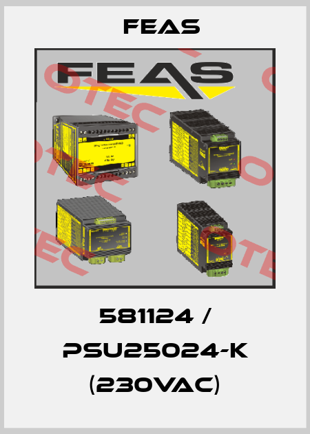 581124 / PSU25024-K (230VAC) Feas