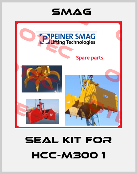 seal kit for HCC-M300 1 Smag