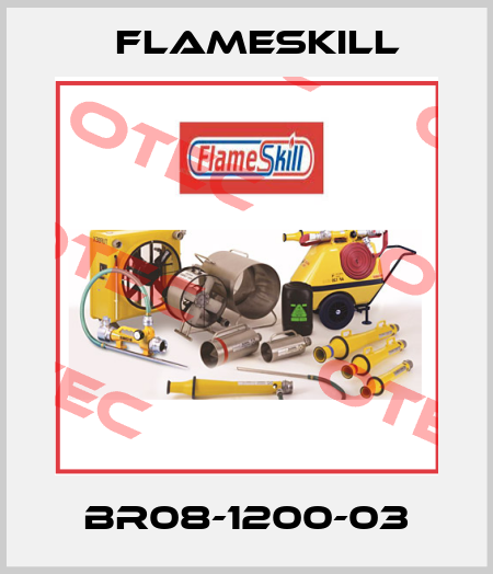 BR08-1200-03 FlameSkill